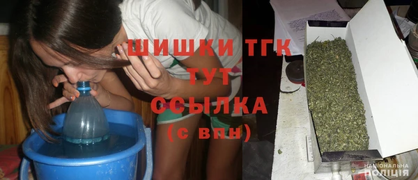 индика Сатка
