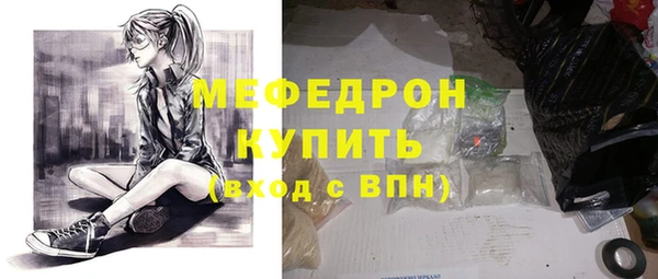 индика Сатка