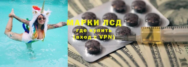 индика Сатка