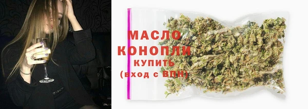 индика Сатка
