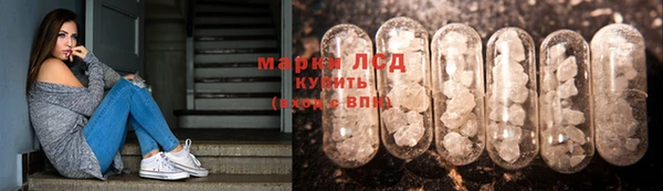 индика Сатка