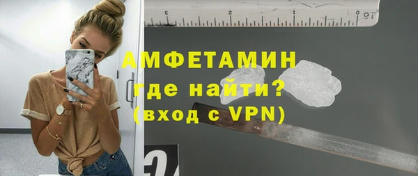 индика Сатка