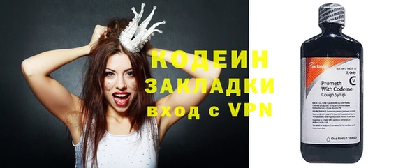 индика Сатка