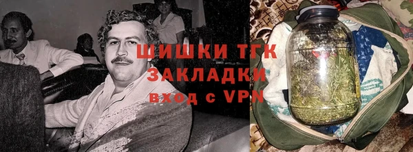 индика Сатка