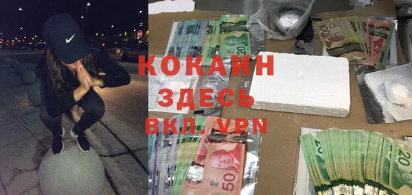 индика Сатка