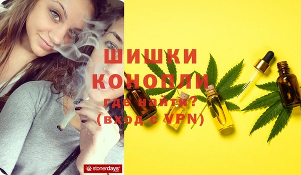 индика Мосальск