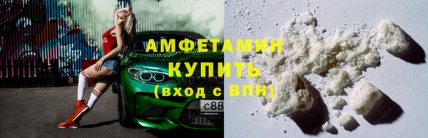индика Сатка