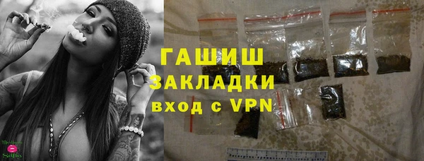 индика Сатка
