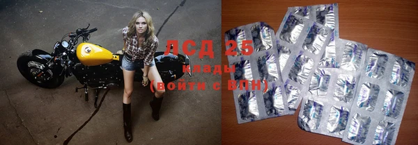 индика Сатка
