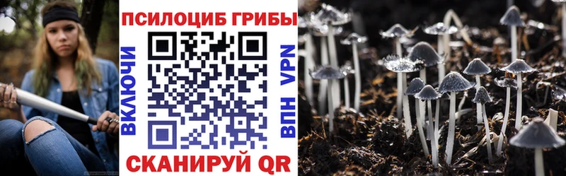 KRAKEN ссылки  Сосногорск  Псилоцибиновые грибы GOLDEN TEACHER  купить наркоту 